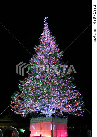 クリスマスツリー クリスマスツリー 43971832