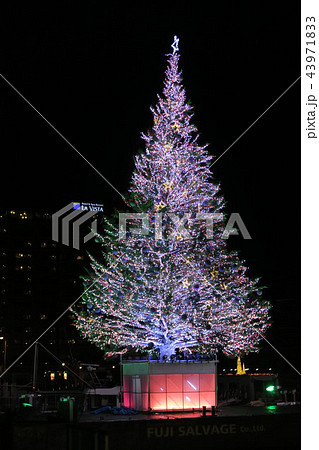 クリスマスツリー 43971833