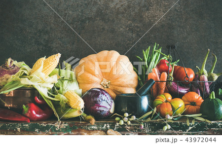 Assortment of various Autumn vegetables from local market, copy space 43972044