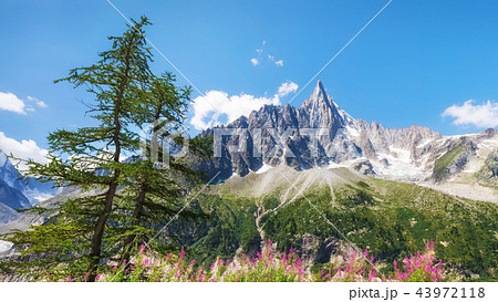 Traveling to beautiful French Alps in summer 43972118
