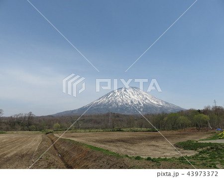 羊蹄山 羊蹄山 43973372