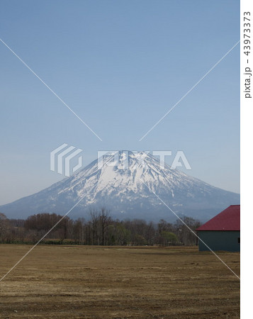 羊蹄山 羊蹄山 43973373