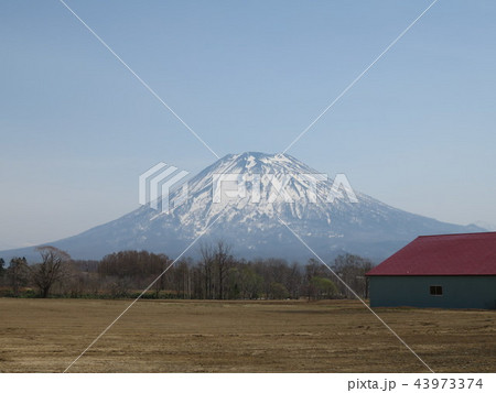 羊蹄山 羊蹄山 43973374