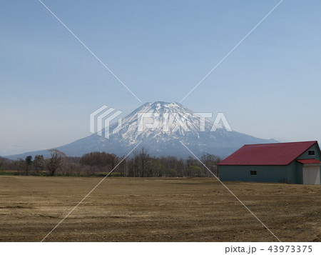 羊蹄山　 43973375