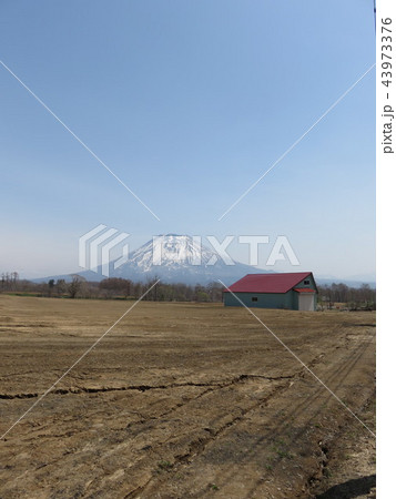 羊蹄山 羊蹄山 43973376