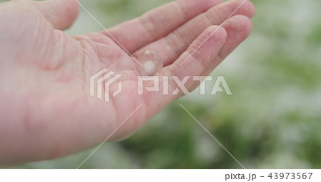closeup pov male hand holding hailstones after hailstorm 43973567