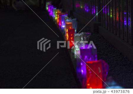 大山とうろう祭り#1 大山とうろう祭り#1 43973876