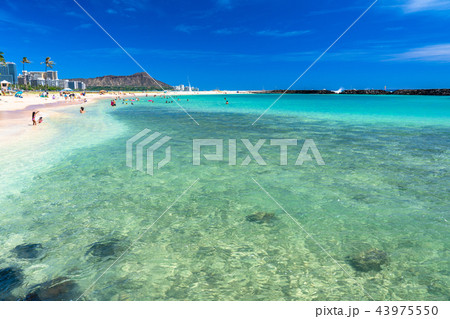 《ハワイ》マジックアイランドラグーン・バカンス 《ハワイ》マジックアイランドラグーン・バカンス 43975550