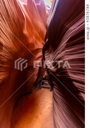 Lower Antelope Canyon 43976789