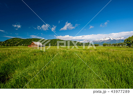 Old barn in Grand Teton Mountains 43977289