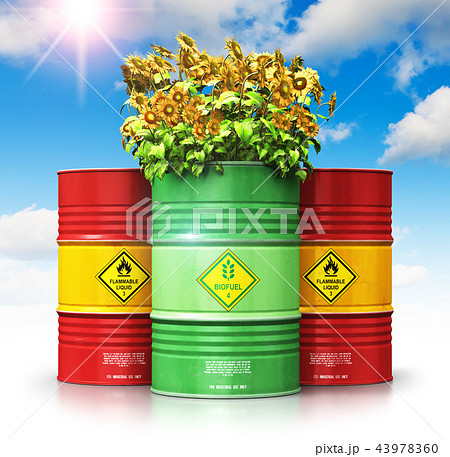 Green biofuel drum with sunflowers in front of red 43978360