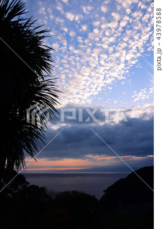 江の島夕景 江の島夕景 43978588