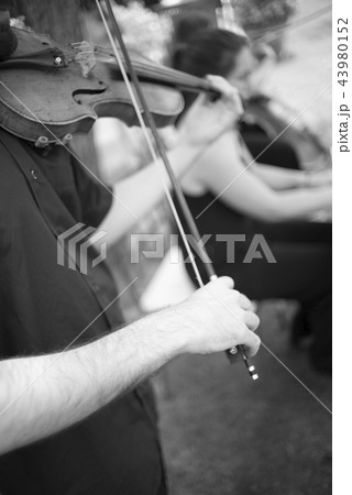 Musicians group playing wedding music 43980152