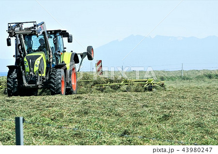 知床連山をバックに草煙を上げながら走るトラクター 43980247