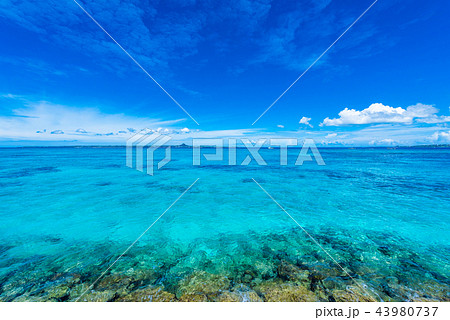 沖縄　水納島の海 43980737