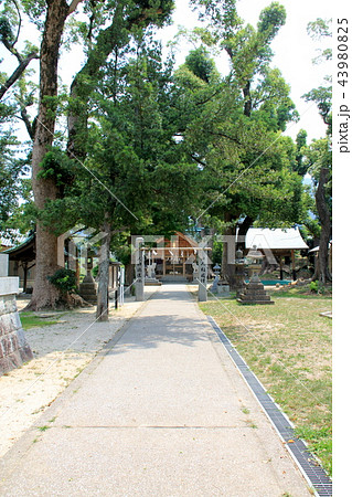 太祖宮の本殿(篠栗町) 太祖宮の本殿(篠栗町) 43980825