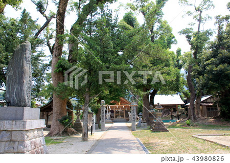 太祖宮の本殿(篠栗町) 太祖宮の本殿(篠栗町) 43980826