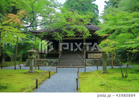 三千院　往生極楽院 43980884