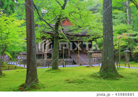三千院 往生極楽院 三千院 往生極楽院 43980885