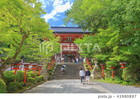 晴天下の鞍馬寺 仁王門 晴天下の鞍馬寺 仁王門 43980897