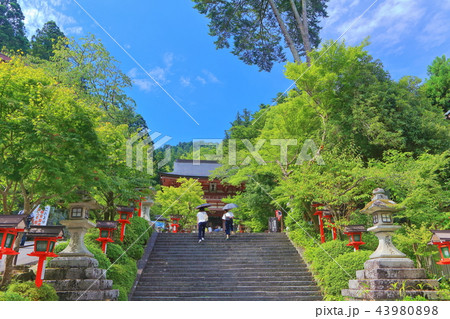 晴天下の鞍馬寺　仁王門 43980898