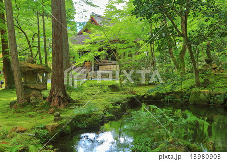 三千院　往生極楽院 43980903