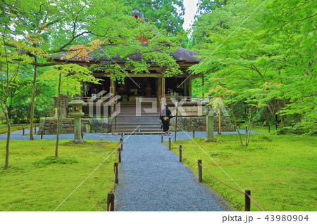 三千院 往生極楽院 三千院 往生極楽院 43980904