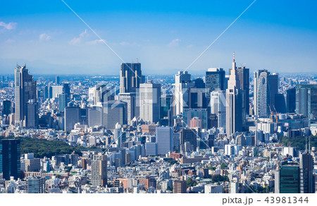 東京　新宿摩天楼 43981344