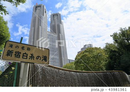新宿白糸の滝 新宿中央公園 都庁 新宿白糸の滝 新宿中央公園 都庁 43981361