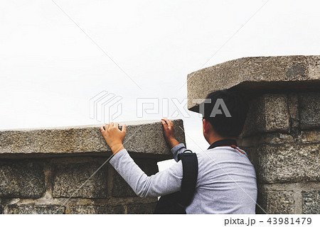 伝統 森の道 朝鮮王陵 43981479