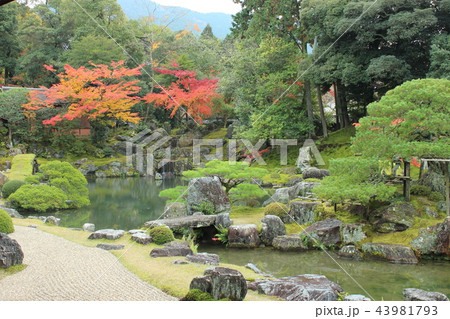 秋の醍醐寺 秋の醍醐寺 43981793
