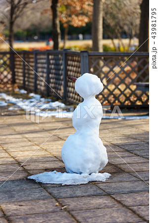 雪だるま 43981795