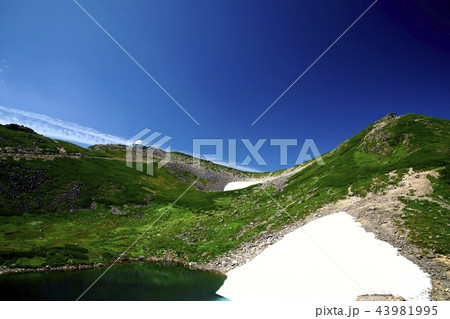 夏の乗鞍(撮影地:乗鞍、富士見岳付近) 夏の乗鞍(撮影地:乗鞍、富士見岳付近) 43981995