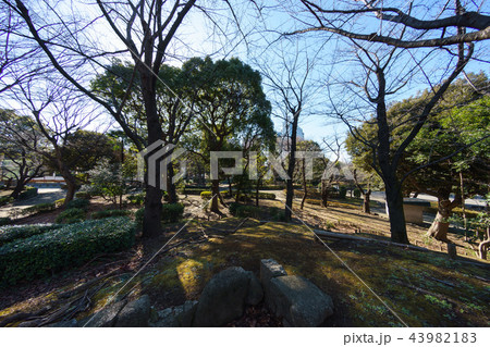 隅田公園 隅田公園 43982183