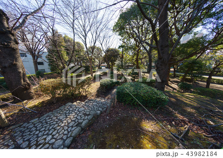 隅田公園 43982184