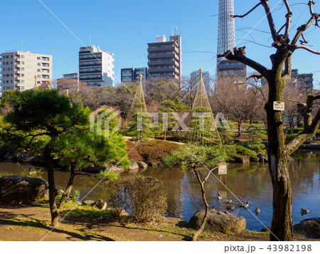 隅田公園 隅田公園 43982198