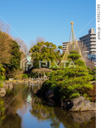 隅田公園 43982199