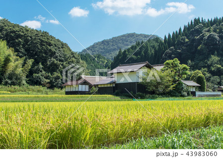 農村風景　初秋 43983060