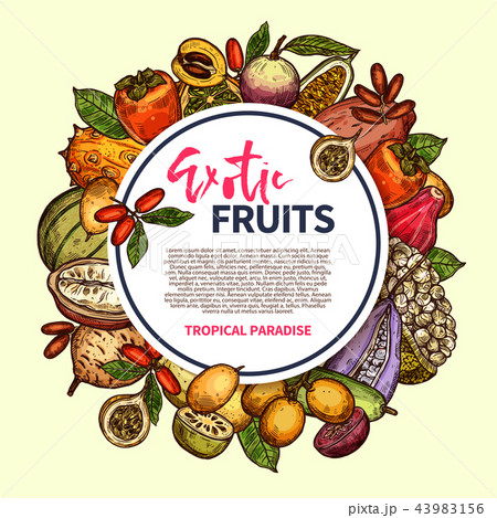 Exotic fruits and tropical berries frame 43983156