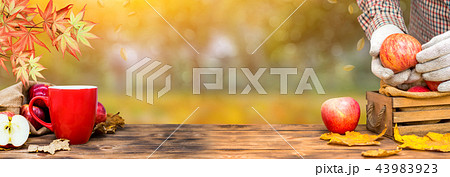 Fall harvest cornucopia, Thanksgiving background Fall harvest cornucopia, Thanksgiving background 43983923