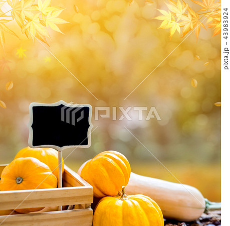 Fall harvest cornucopia, Thanksgiving background 43983924