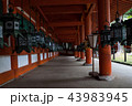 春日大社 43983945