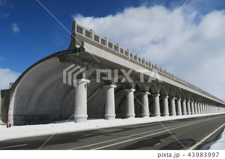 稚内 北防波堤ドーム 43983997