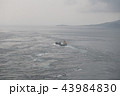 鳴門海峡 43984830