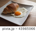 目玉焼きとロールパン 43985066