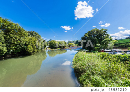 高麗川の風景 43985210