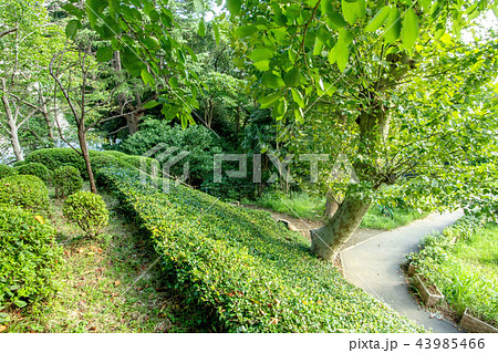 喰違見附 43985466