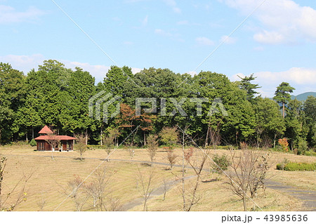 吉備中央町の岩倉公園 吉備中央町の岩倉公園 43985636