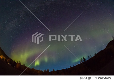 2018年秋のアラスカのオーロラ Aurora Alaska 2018 autumn 2018年秋のアラスカのオーロラ Aurora Alaska 2018 autumn 43985689