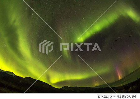 2018年秋のアラスカのオーロラ Aurora Alaska 2018 autumn 43985694